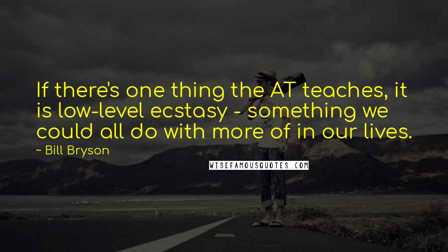 Bill Bryson Quotes: If there's one thing the AT teaches, it is low-level ecstasy - something we could all do with more of in our lives.