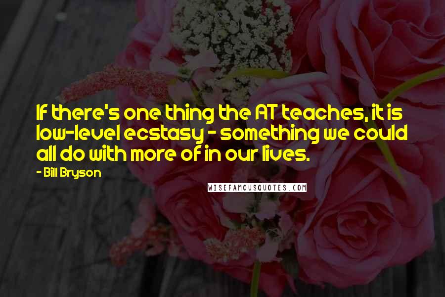 Bill Bryson Quotes: If there's one thing the AT teaches, it is low-level ecstasy - something we could all do with more of in our lives.