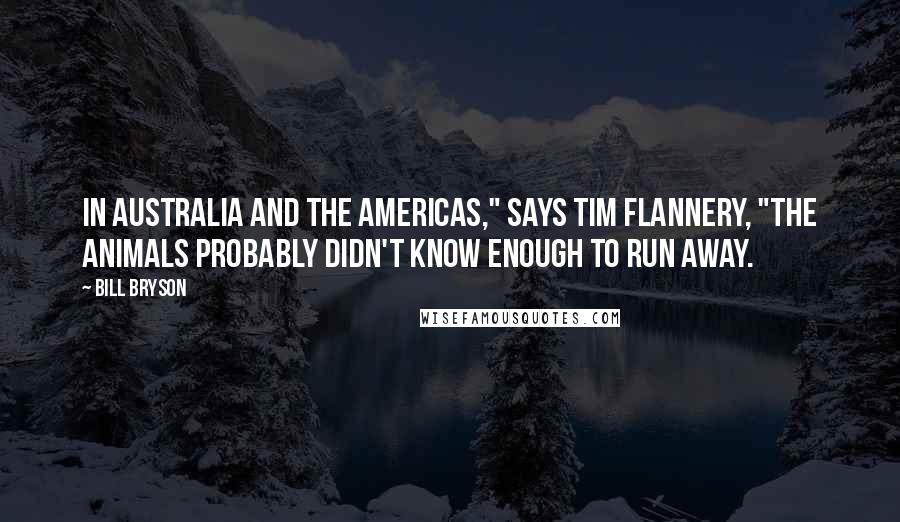 Bill Bryson Quotes: In Australia and the Americas," says Tim Flannery, "the animals probably didn't know enough to run away.