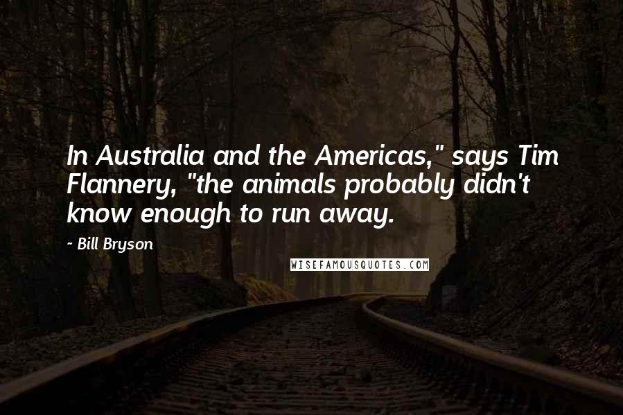 Bill Bryson Quotes: In Australia and the Americas," says Tim Flannery, "the animals probably didn't know enough to run away.