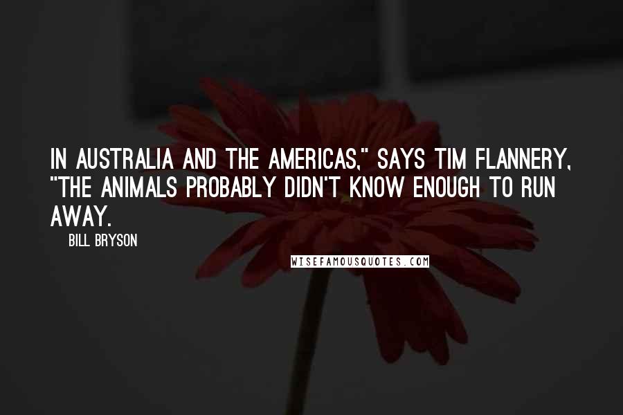 Bill Bryson Quotes: In Australia and the Americas," says Tim Flannery, "the animals probably didn't know enough to run away.