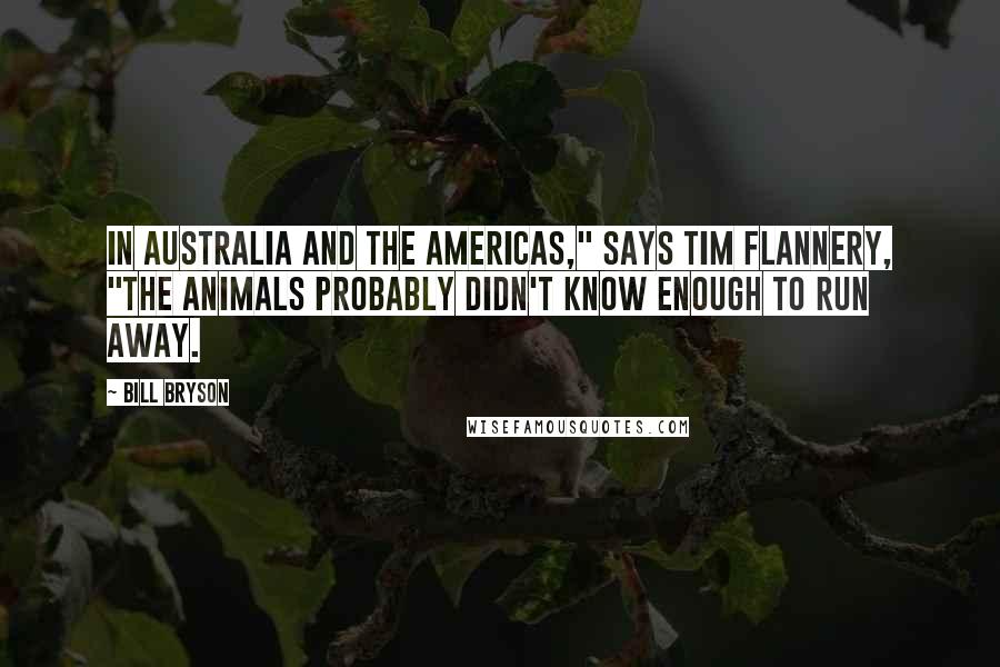Bill Bryson Quotes: In Australia and the Americas," says Tim Flannery, "the animals probably didn't know enough to run away.