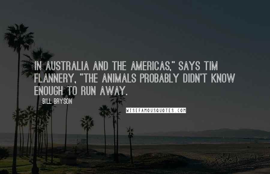 Bill Bryson Quotes: In Australia and the Americas," says Tim Flannery, "the animals probably didn't know enough to run away.