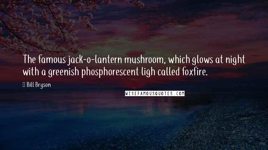 Bill Bryson Quotes: The famous jack-o-lantern mushroom, which glows at night with a greenish phosphorescent ligh called foxfire.