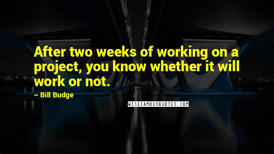 Bill Budge Quotes: After two weeks of working on a project, you know whether it will work or not.