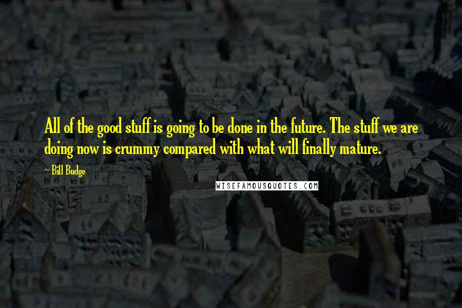 Bill Budge Quotes: All of the good stuff is going to be done in the future. The stuff we are doing now is crummy compared with what will finally mature.