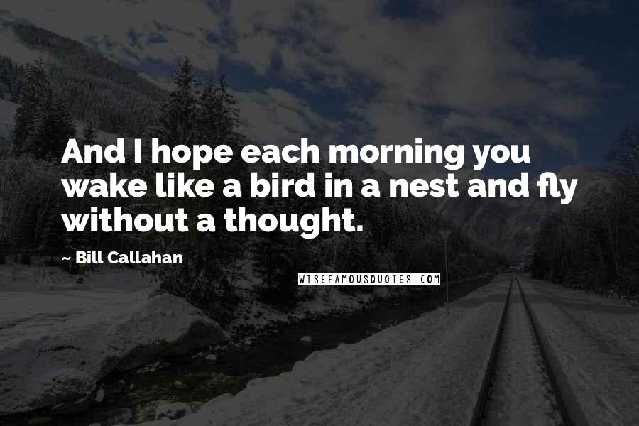 Bill Callahan Quotes: And I hope each morning you wake like a bird in a nest and fly without a thought.