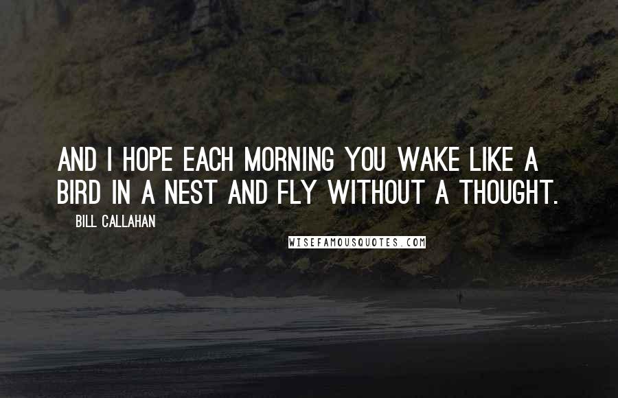 Bill Callahan Quotes: And I hope each morning you wake like a bird in a nest and fly without a thought.