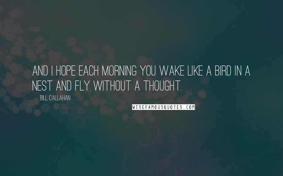 Bill Callahan Quotes: And I hope each morning you wake like a bird in a nest and fly without a thought.