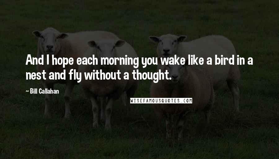 Bill Callahan Quotes: And I hope each morning you wake like a bird in a nest and fly without a thought.