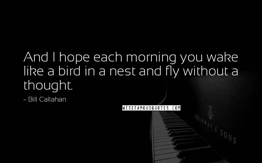 Bill Callahan Quotes: And I hope each morning you wake like a bird in a nest and fly without a thought.