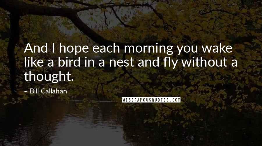 Bill Callahan Quotes: And I hope each morning you wake like a bird in a nest and fly without a thought.