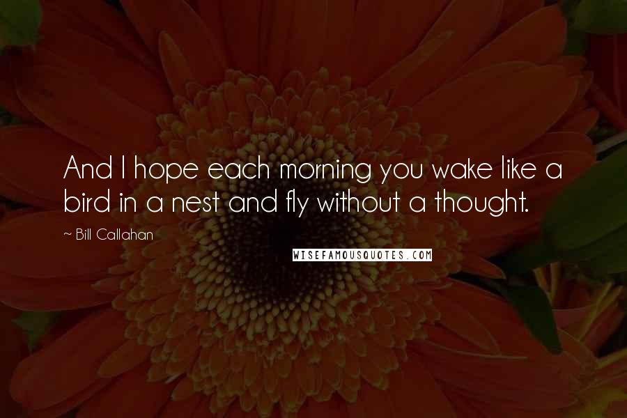 Bill Callahan Quotes: And I hope each morning you wake like a bird in a nest and fly without a thought.