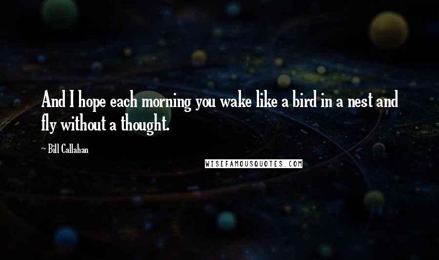 Bill Callahan Quotes: And I hope each morning you wake like a bird in a nest and fly without a thought.