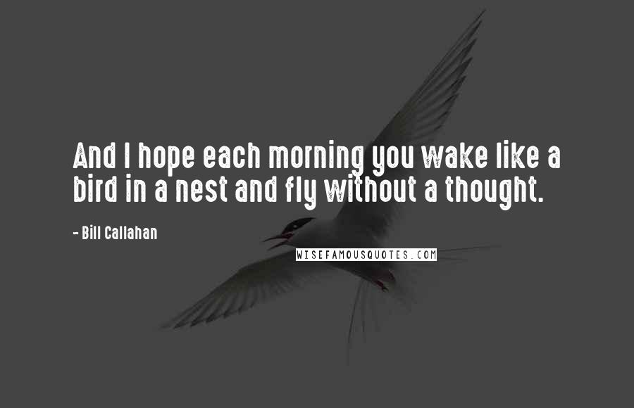 Bill Callahan Quotes: And I hope each morning you wake like a bird in a nest and fly without a thought.