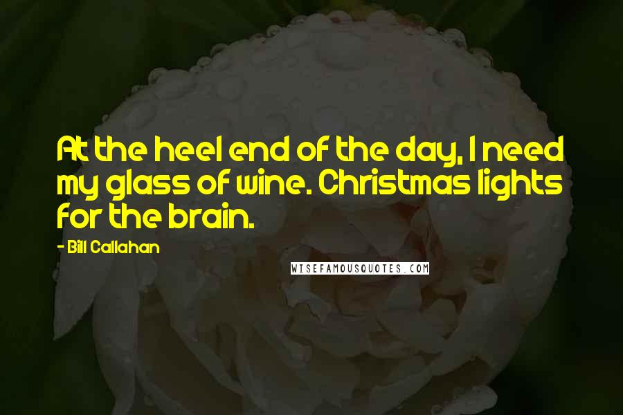 Bill Callahan Quotes: At the heel end of the day, I need my glass of wine. Christmas lights for the brain.