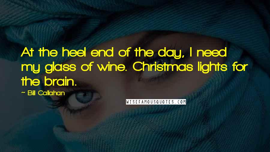 Bill Callahan Quotes: At the heel end of the day, I need my glass of wine. Christmas lights for the brain.