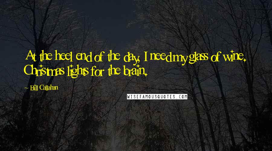 Bill Callahan Quotes: At the heel end of the day, I need my glass of wine. Christmas lights for the brain.