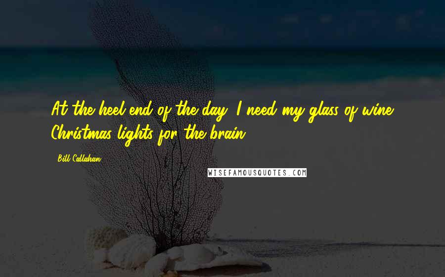 Bill Callahan Quotes: At the heel end of the day, I need my glass of wine. Christmas lights for the brain.