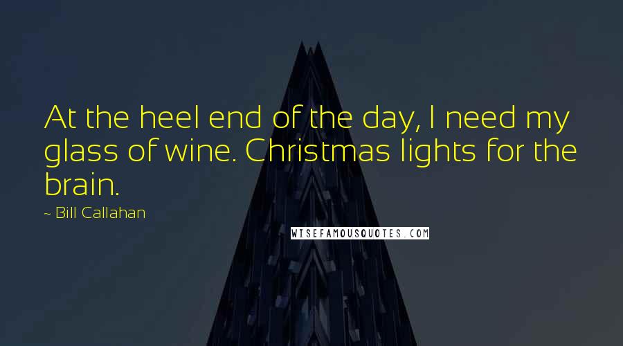 Bill Callahan Quotes: At the heel end of the day, I need my glass of wine. Christmas lights for the brain.
