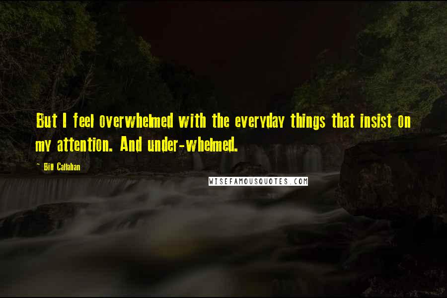 Bill Callahan Quotes: But I feel overwhelmed with the everyday things that insist on my attention. And under-whelmed.