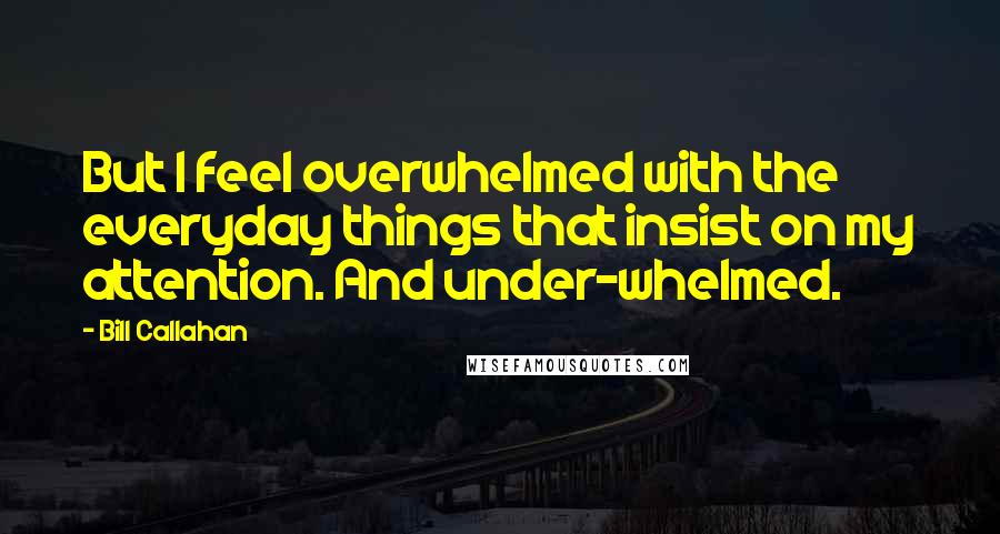 Bill Callahan Quotes: But I feel overwhelmed with the everyday things that insist on my attention. And under-whelmed.