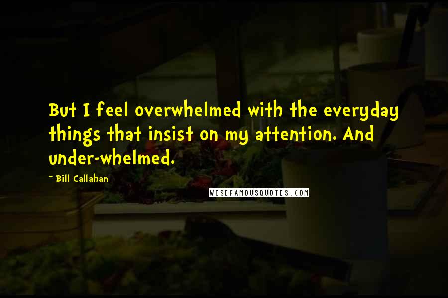 Bill Callahan Quotes: But I feel overwhelmed with the everyday things that insist on my attention. And under-whelmed.