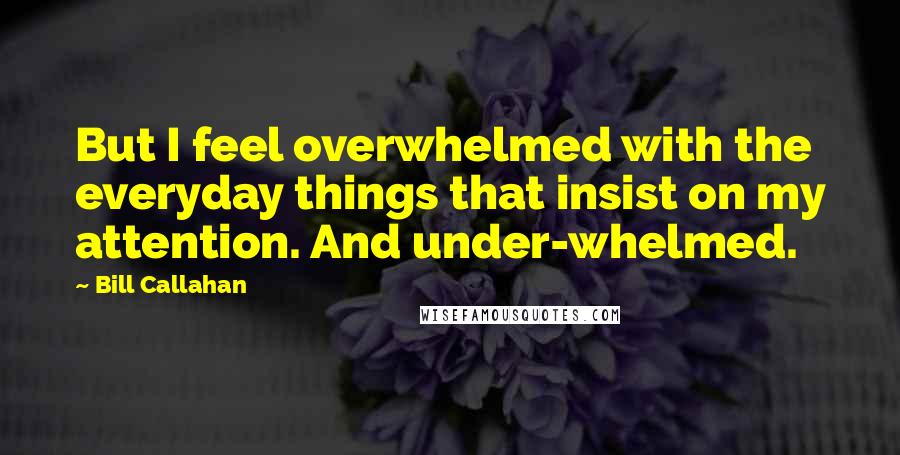 Bill Callahan Quotes: But I feel overwhelmed with the everyday things that insist on my attention. And under-whelmed.