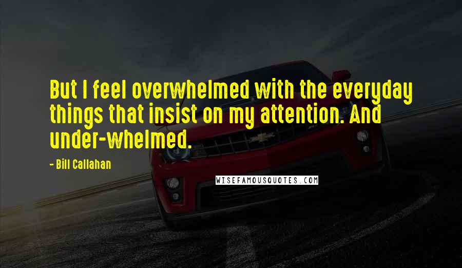 Bill Callahan Quotes: But I feel overwhelmed with the everyday things that insist on my attention. And under-whelmed.