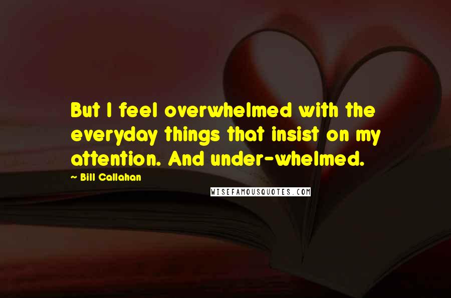 Bill Callahan Quotes: But I feel overwhelmed with the everyday things that insist on my attention. And under-whelmed.