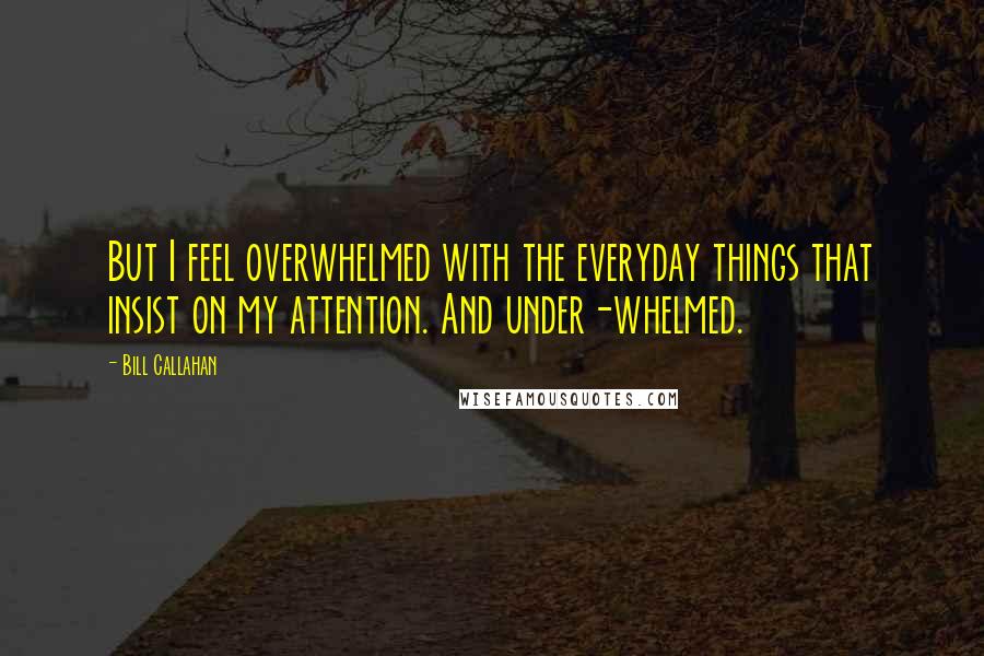 Bill Callahan Quotes: But I feel overwhelmed with the everyday things that insist on my attention. And under-whelmed.