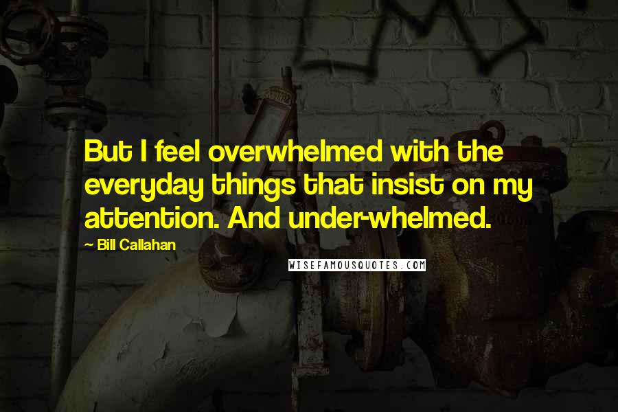 Bill Callahan Quotes: But I feel overwhelmed with the everyday things that insist on my attention. And under-whelmed.