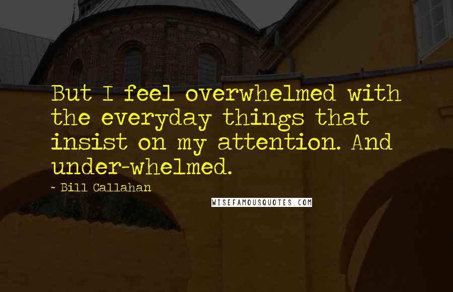 Bill Callahan Quotes: But I feel overwhelmed with the everyday things that insist on my attention. And under-whelmed.