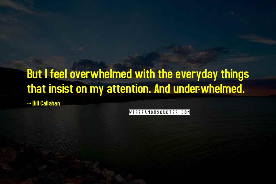 Bill Callahan Quotes: But I feel overwhelmed with the everyday things that insist on my attention. And under-whelmed.