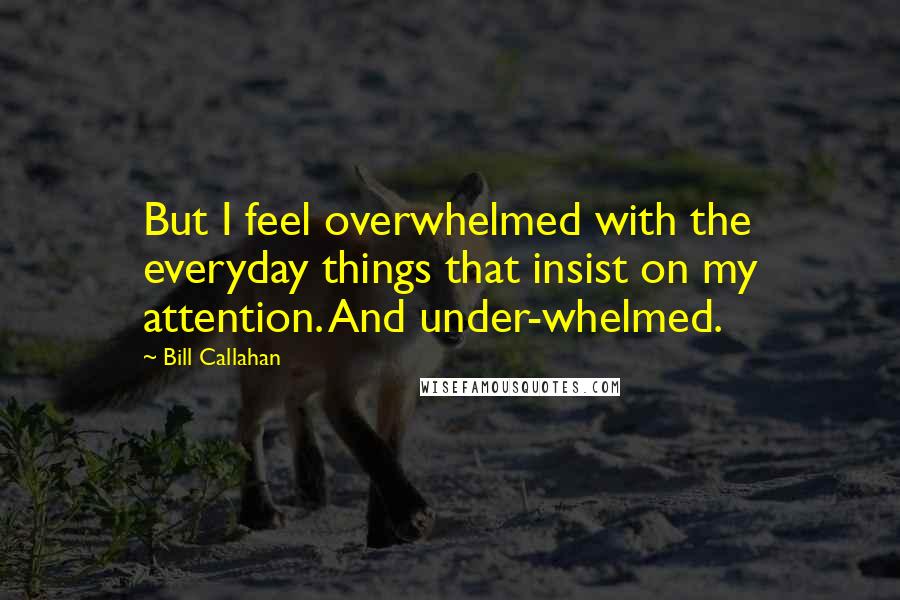 Bill Callahan Quotes: But I feel overwhelmed with the everyday things that insist on my attention. And under-whelmed.