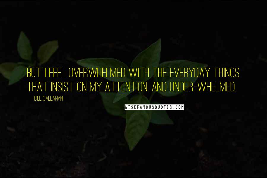 Bill Callahan Quotes: But I feel overwhelmed with the everyday things that insist on my attention. And under-whelmed.