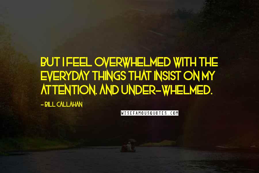 Bill Callahan Quotes: But I feel overwhelmed with the everyday things that insist on my attention. And under-whelmed.