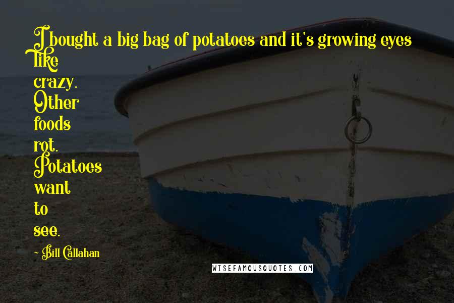 Bill Callahan Quotes: I bought a big bag of potatoes and it's growing eyes like crazy. Other foods rot. Potatoes want to see.