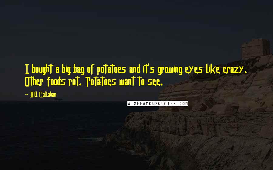 Bill Callahan Quotes: I bought a big bag of potatoes and it's growing eyes like crazy. Other foods rot. Potatoes want to see.