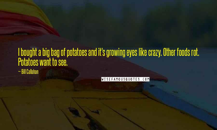 Bill Callahan Quotes: I bought a big bag of potatoes and it's growing eyes like crazy. Other foods rot. Potatoes want to see.