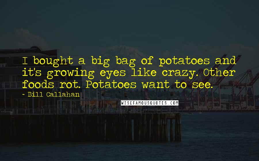 Bill Callahan Quotes: I bought a big bag of potatoes and it's growing eyes like crazy. Other foods rot. Potatoes want to see.