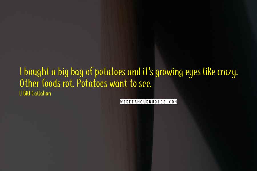 Bill Callahan Quotes: I bought a big bag of potatoes and it's growing eyes like crazy. Other foods rot. Potatoes want to see.