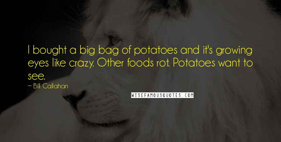 Bill Callahan Quotes: I bought a big bag of potatoes and it's growing eyes like crazy. Other foods rot. Potatoes want to see.