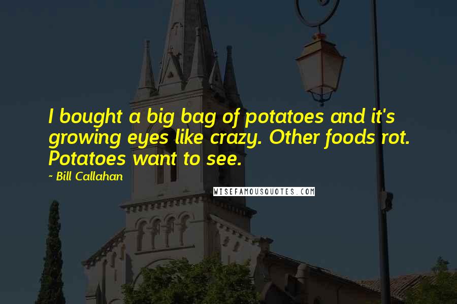 Bill Callahan Quotes: I bought a big bag of potatoes and it's growing eyes like crazy. Other foods rot. Potatoes want to see.