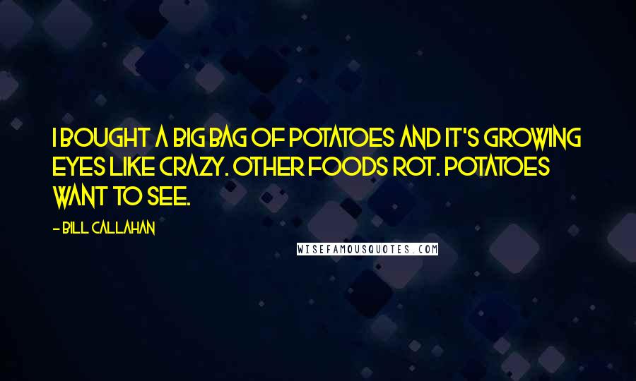 Bill Callahan Quotes: I bought a big bag of potatoes and it's growing eyes like crazy. Other foods rot. Potatoes want to see.