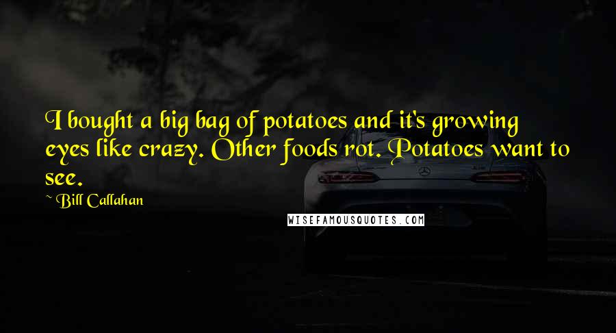 Bill Callahan Quotes: I bought a big bag of potatoes and it's growing eyes like crazy. Other foods rot. Potatoes want to see.