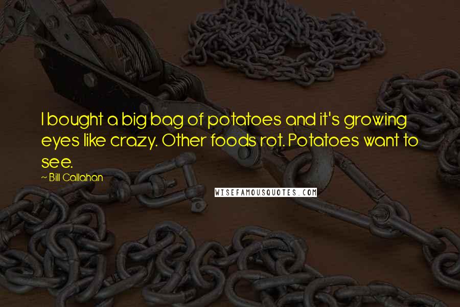 Bill Callahan Quotes: I bought a big bag of potatoes and it's growing eyes like crazy. Other foods rot. Potatoes want to see.