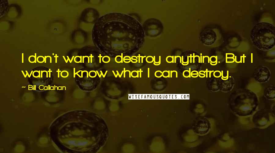 Bill Callahan Quotes: I don't want to destroy anything. But I want to know what I can destroy.