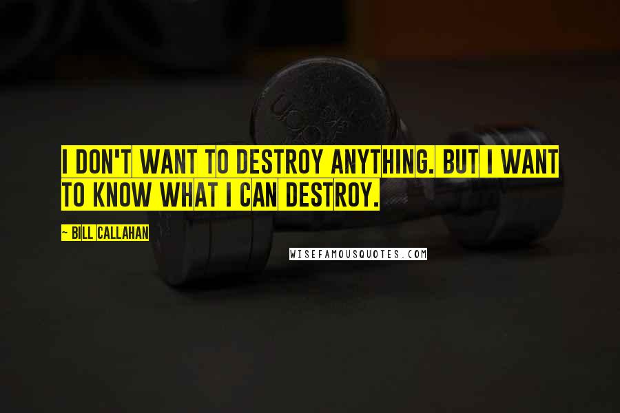 Bill Callahan Quotes: I don't want to destroy anything. But I want to know what I can destroy.