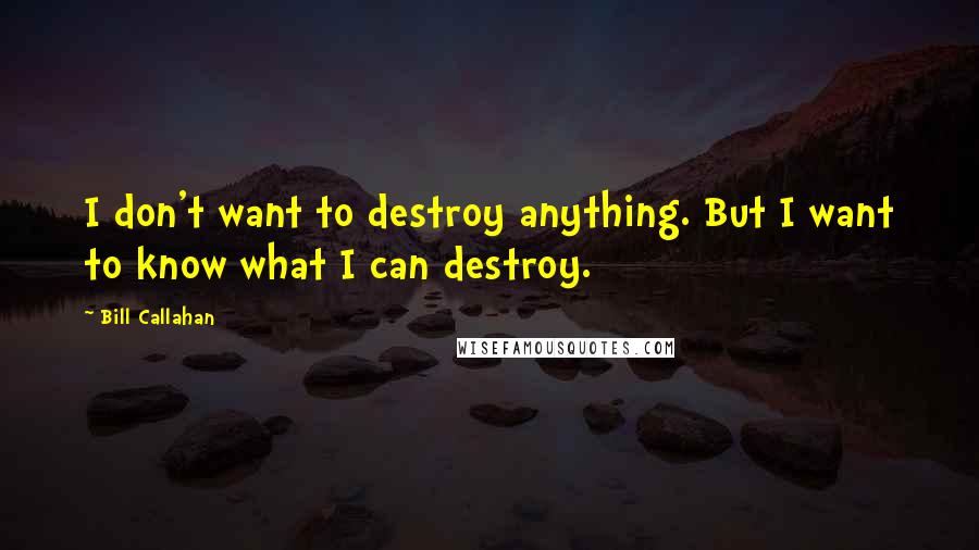 Bill Callahan Quotes: I don't want to destroy anything. But I want to know what I can destroy.